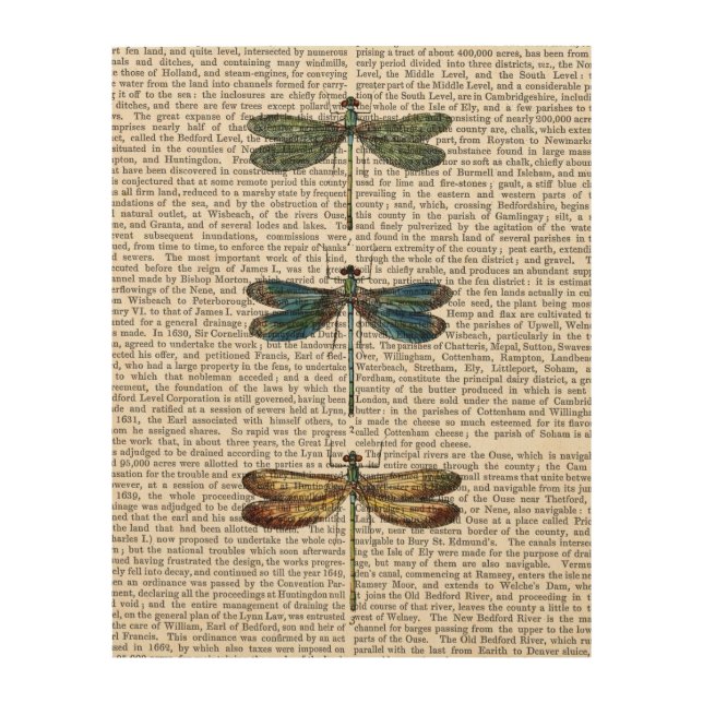 Dragonflies Print (Front)