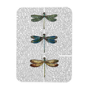 Dragonflies Print 2 Magnet