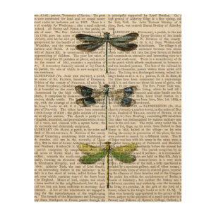 Dragonflies Print 3