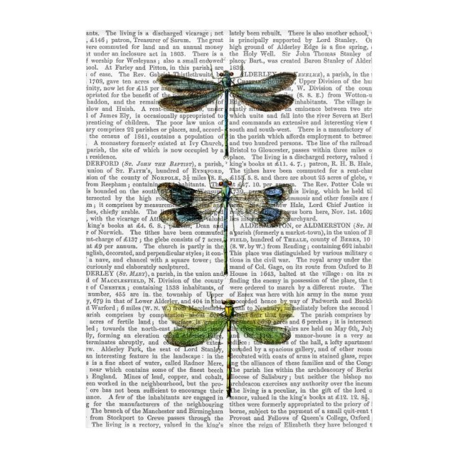 Dragonflies Print 3 Acrylic Print (Front)