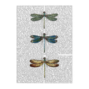 Dragonflies Print Acrylic Print