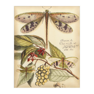 Dragonflies with Leaves and Fruit Acrylic Print