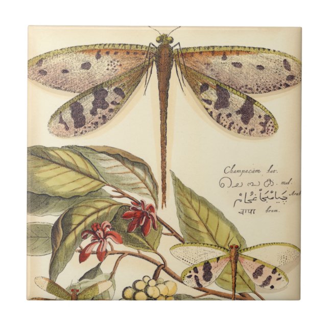 Dragonflies with Leaves and Fruit Ceramic Tile (Front)