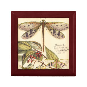 Dragonflies with Leaves and Fruit Gift Box