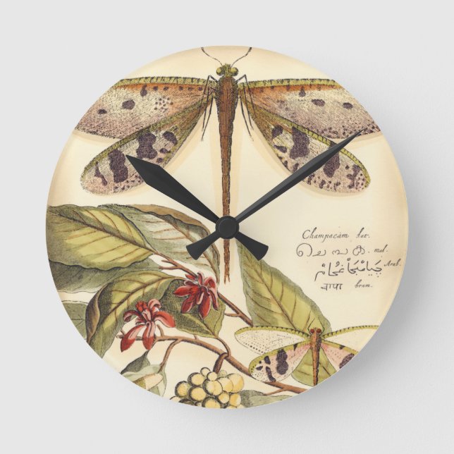Dragonflies with Leaves and Fruit Round Clock (Front)