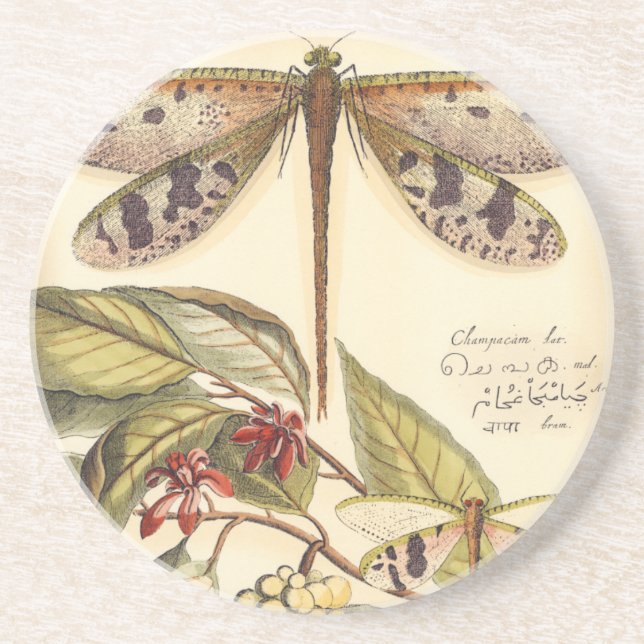 Dragonflies with Leaves and Fruit Sandstone Coaster (Front)