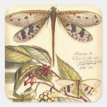 Dragonflies With Leaves And Fruit Square Sticker by worldartgroup at Zazzle