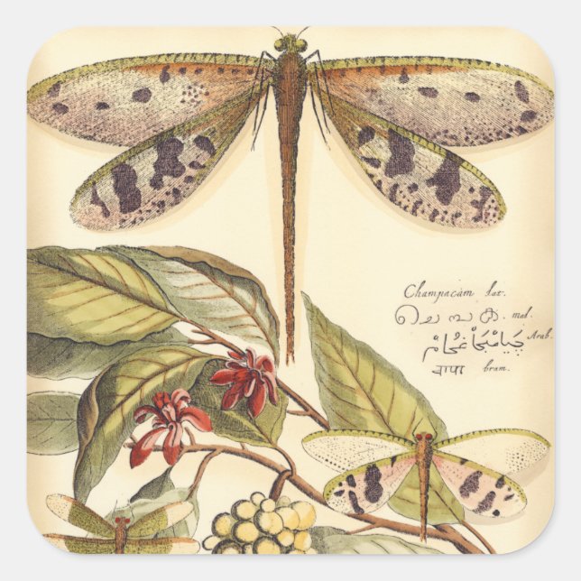 Dragonflies with Leaves and Fruit Square Sticker (Front)