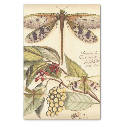 Dragonflies with Leaves and Fruit Tissue Paper