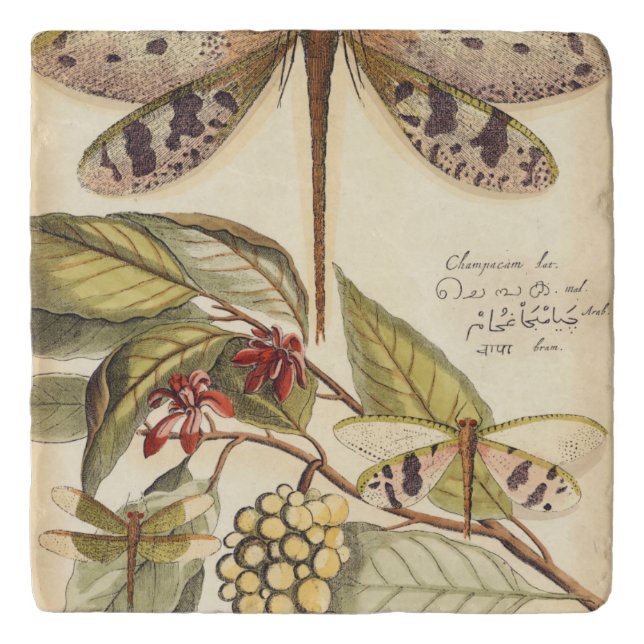 Dragonflies with Leaves and Fruit Trivet (Front)