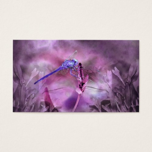 Dragonfly Business Card Templates
