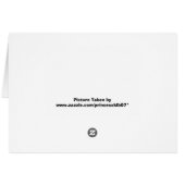 Dragonfly (Back Horizontal)