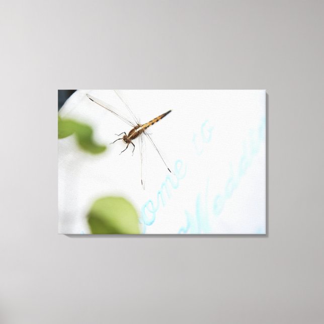 Dragonfly 12 canvas print (Front)