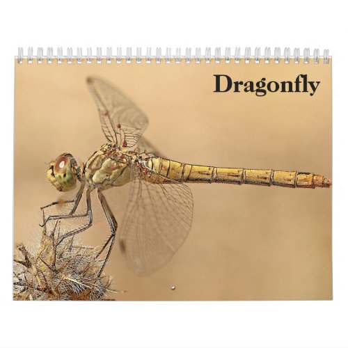 Dragonfly 2024 calendar