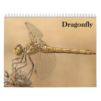 Dragonfly 2027 calendar