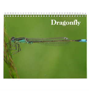 Dragonfly 2027 calendar
