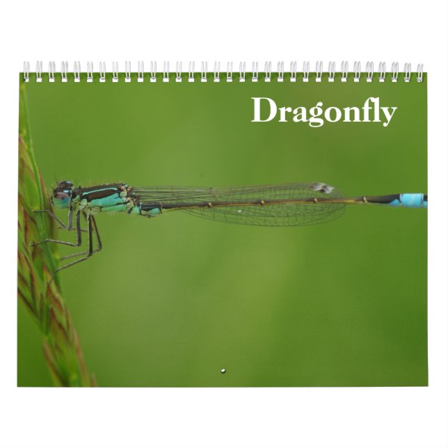 Dragonfly 2027 calendar (Cover)