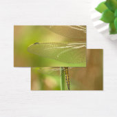 dragonfly-348433  dragonfly insect animal wing sum (Desk)