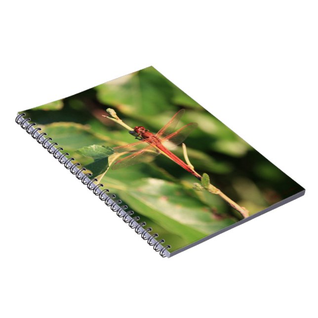 Dragonfly #3725 Notebook (Right Side)