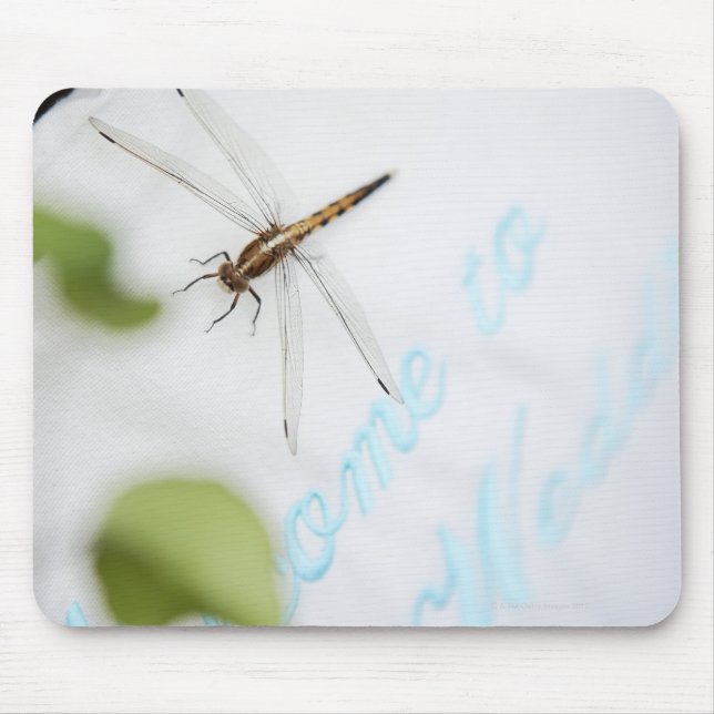Dragonfly 4 mouse pad (Front)