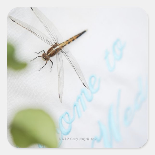 Dragonfly 4 square sticker (Front)