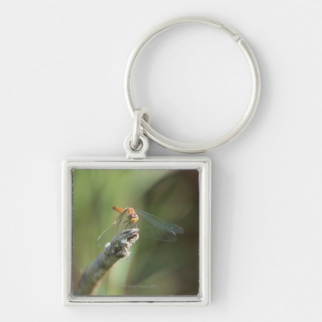 Dragonfly 5 keychain (Front)