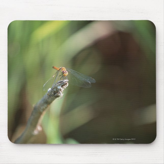 Dragonfly 5 mouse pad (Front)
