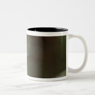 Dragonfly 5 Two-Tone coffee mug