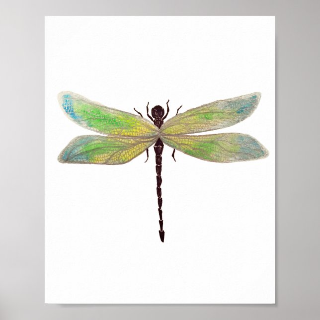 Dragonfly 8x10 Print (Front)