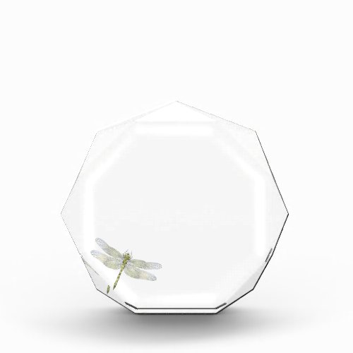 Dragonfly  acrylic award