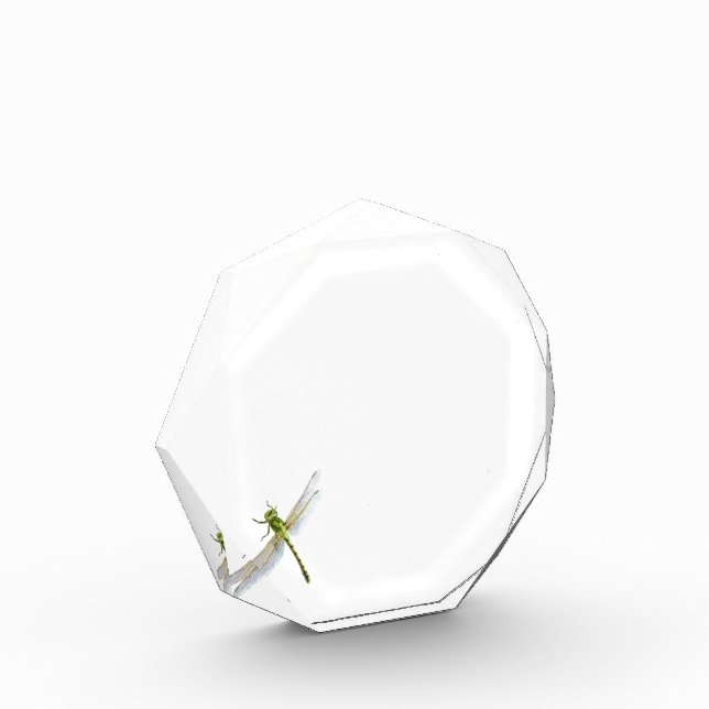 Dragonfly acrylic award (Left)