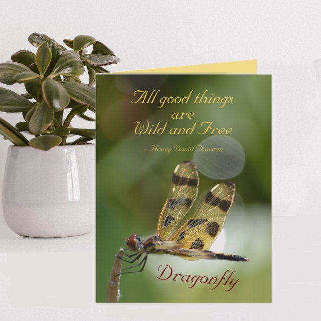 Dragonfly All Good Things Wild and Free note cards (Creator Uploaded)