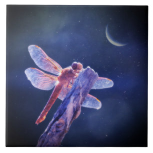 Dragonfly and Crescent Moon Mystical Ceramic Tile