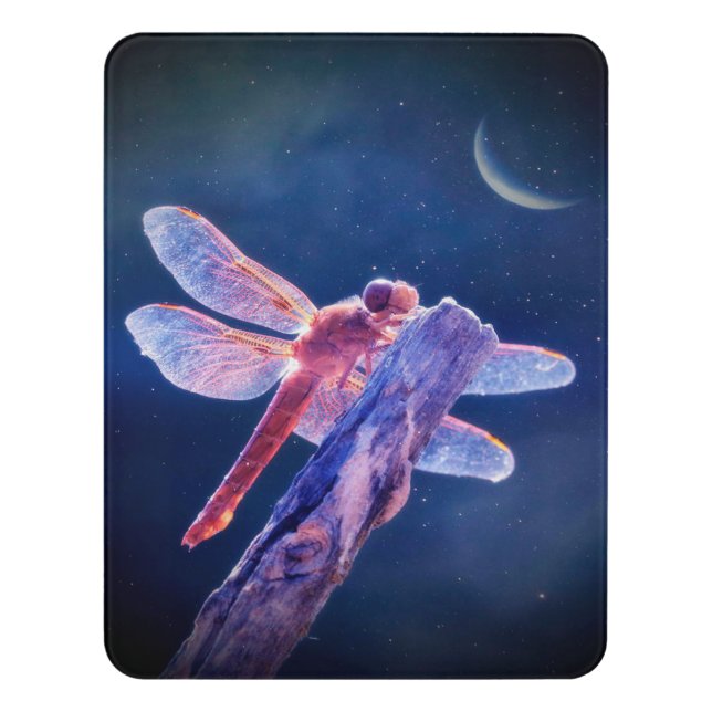 Dragonfly and Moon canvas print | lovely canvas Door Sign (Contemporary Vert)
