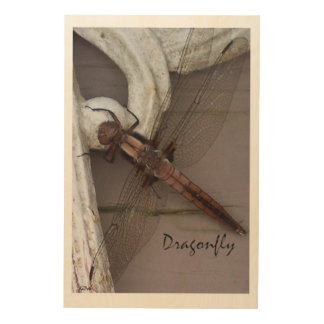 Dragonfly Art