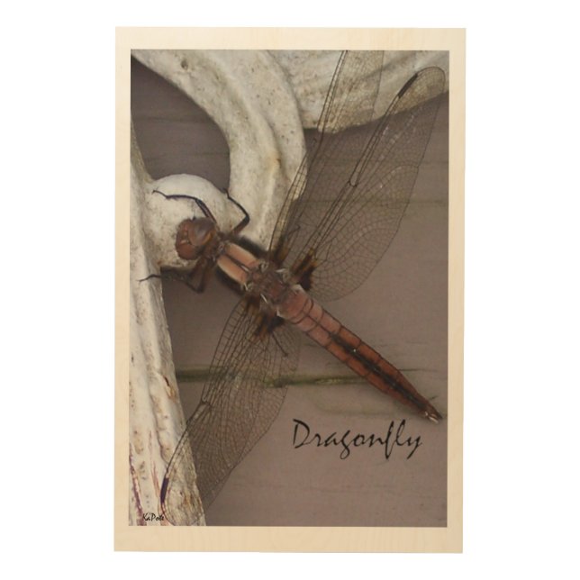Dragonfly Art (Front)