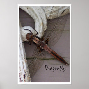 Dragonfly Art Poster
