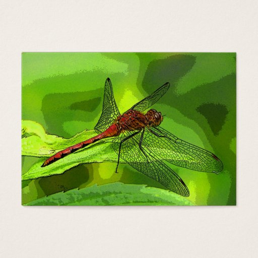 Customizable Dragonfly ATC Business Cards