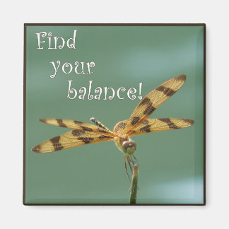 Dragonfly Balance Magnet