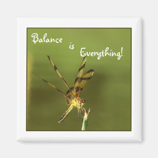 Dragonfly Balance Magnet 2
