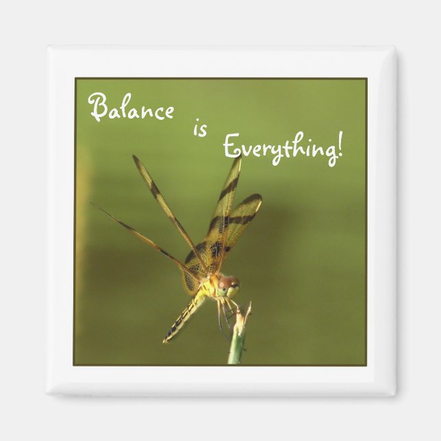 Dragonfly Balance Magnet 2 (Front)