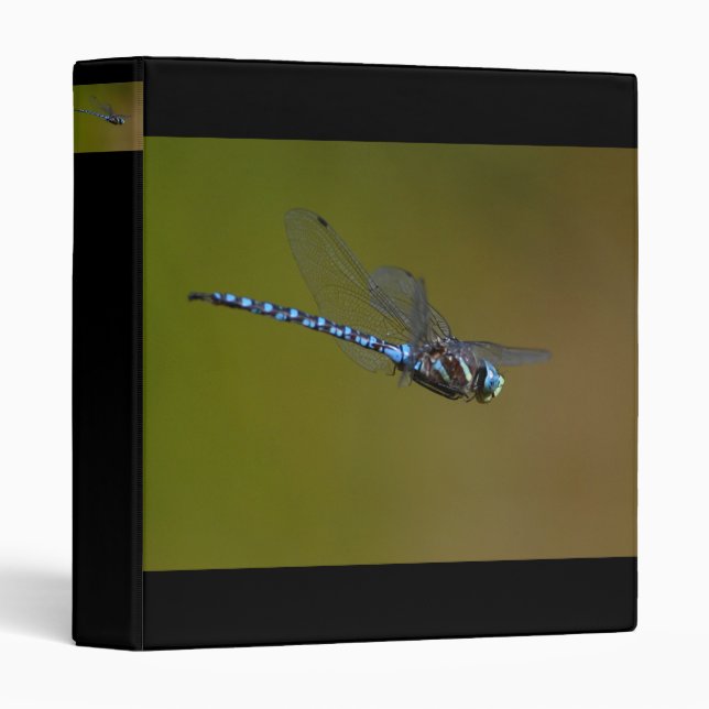 dragonfly binder (Front/Spine)