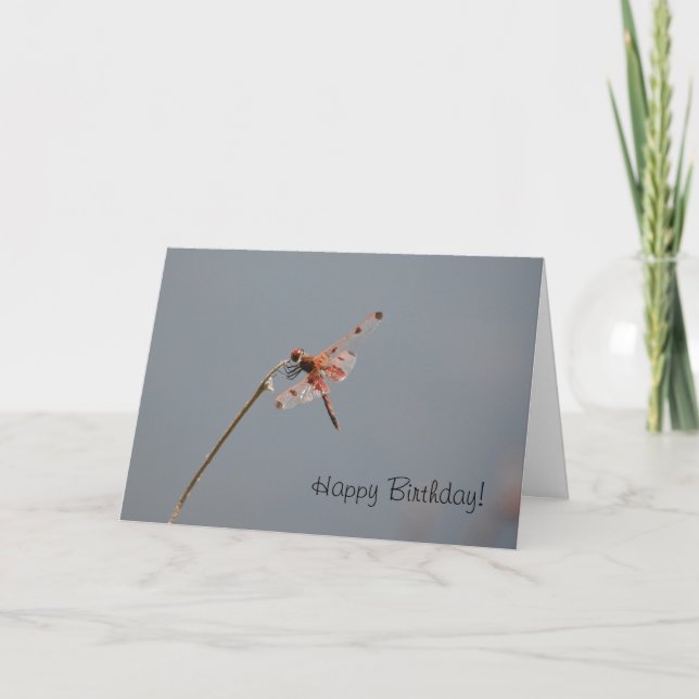 Dragonfly Birthday Card (Front)