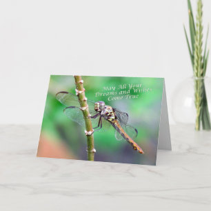 Dragonfly Birthday Card (7178)