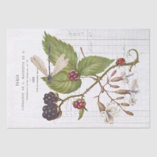 Dragonfly Blackberry Ladybug French Vintage Craft Tissue Paper