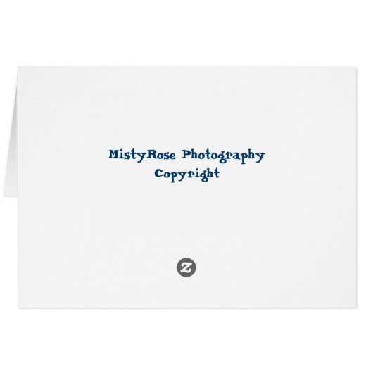 Dragonfly blank greeting card (Back Horizontal)