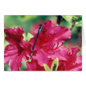 Dragonfly blank greeting card (Front Horizontal)