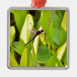 Dragonfly Blue and black on grass. Metal Ornament