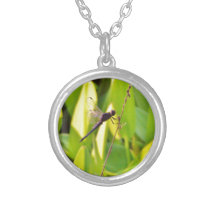 Dragonfly Blue and black on grass.