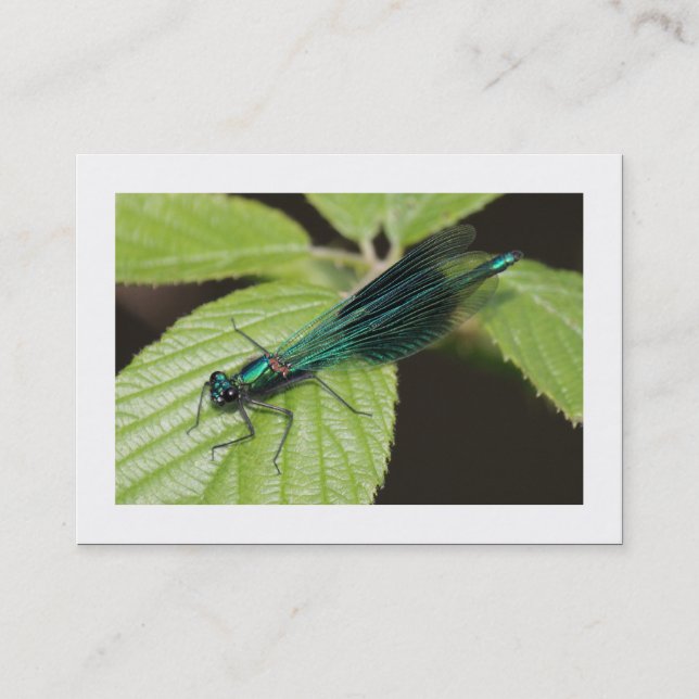 Dragonfly (Bordered) Business Card (Front)